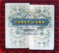 Tarot Card Prophecy [Import]