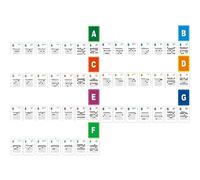 TARSHYRY Cartes D'apprentissage des Accords de Guitare Tableau D'accords de Guitare Clair et Simple pour les Débutants et les Joueurs Intermédiaires pour la Pratique avec du Papier D'art de qualité