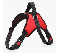 TARSHYRY Harnais Réfléchissant pour Chien avec Laisse pour Petites et Grandes Races, Gilet d'extérieur pour Animaux de Compagnie pour la Marche et l'entraînement (M)