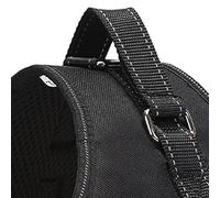 TARSHYRY Harnais Réfléchissant pour Chien avec Laisse pour Petites et Grandes Races, Gilet d'extérieur pour Animaux de Compagnie pour la Marche et l'entraînement (S)