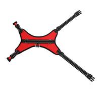 TARSHYRY Harnais Réfléchissant pour Chien avec Laisse pour Petites et Grandes Races, Gilet d'extérieur pour Animaux de Compagnie pour la Marche et l'entraînement (L)