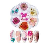TARSHYRY Nails DIY Sécoration de Fleur de Décoration Kit D'art pour les Femmes Manucure Décoratives Falsives Fleurs Foncées Couleurs Vives Ongles d'été Printemps (6 grille fleurs séchées 02)
