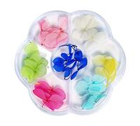 TARSHYRY Nails DIY Sécoration de Fleur de Décoration Kit D'art pour les Femmes Manucure Décoratives Falsives Fleurs Foncées Couleurs Vives Ongles d'été Printemps (6 grille fleurs séchées 01)