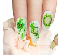 TARSHYRY Nails DIY Sécoration de Fleur de Décoration Kit D'art pour les Femmes Manucure Décoratives Falsives Fleurs Foncées Couleurs Vives Ongles d'été Printemps (6 grille fleurs séchées 06)