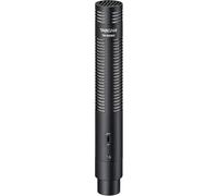 Tascam TM-200SG micro canon