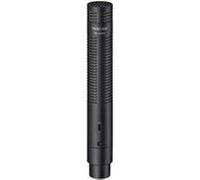 Tascam TM-200SG - Microphone Canon G
