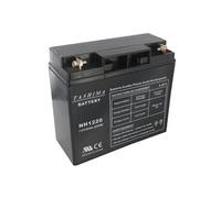 TASHIMA Batterie gel/agm 100% étanche pour tondeuses autoportées 12V, 20A