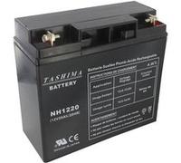 TASHIMA - Batterie 12V 20AH NH1220 Motoculture - Technologie Plomb Étanche Gel Sans Acide - Borne + À Droite - Pour Moteurs Thermiques Type Tracteur, Tondeuse À Gazon Autoportée & Motoculteur