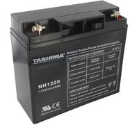 TASHIMA - Batterie 12V 20AH NH1220 Motoculture - Technologie Plomb Étanche Gel Sans Acide - Borne + À Droite - Pour Moteurs Thermiques Type Tracteur, Tondeuse À Gazon Autoportée & Motoculteur