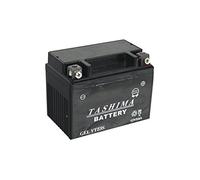 Tashima - batterie moto - REF : FTZ5S