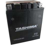 Tashima - Batterie moto YTX14AH-BS 12V 12Ah