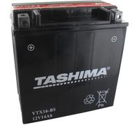 Tashima - Batterie moto YTX16-BS / GTX16-BS 12V 14Ah
