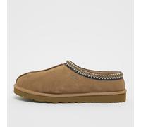 Tasman brun 41