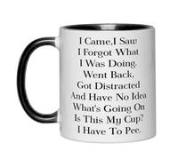 Tasse à café amusante pour personnes âgées, « I Came I Saw I Saw I Forgot What I Was Do », cadeau sarcastique amusant pour personnes âgées, maman, papa, grand-mère, grand-père, mari, épouse, collègue,