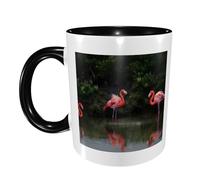 Tasse à café avec deux flamants roses pour homme et femme 325 ml Tasse en céramique double couleur avec poignée pour tasse à café, tasse à thé, travail à domicile