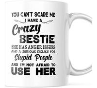 Tasse À Thé Beste Freundin, Du Kannst Mich Nicht Erschrecken, Ich Habe Eine Verrückte Beste Freundin Rétro Tasses À Café En Céramique Humour Mugs Café Pour Latte Bureau Ami