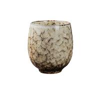 Tasse à thé en céramique à cinq éléments pour changer le four Jianzhan Tianmu Kung Fu