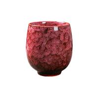 Tasse à thé en céramique à cinq éléments pour changer le four Jianzhan Tianmu Kung Fu