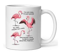 Tasse À Thé En Céramique Flamingo, Je Ne Suis Pas Folle, Je Suis Juste Spéciale Minimaliste Mug En Céramique Décoratifs Tasses De Café Pour Boissons Ami Partenaire