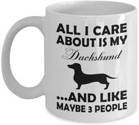 Tasse À Thé En Céramique Tout Ce Qui M'Importe, Ce Sont Les Amoureux Des Daushawaws Et Des Teckels. Colorées Mug Humour Coffee Mugs Pour Latte Ami Femme