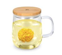 Navaris Tasse en Verre avec Filtre - Mug à Thé en Verre Borosilicate avec Infuseur et Couvercle en Bambou - Set Tisanière Individuel - 500 mL