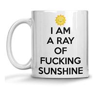 Tasse À Thé Je Suis Un Putain De Rayon De Soleil Avec Poignée Mug Rétro Mugs Café Pour Femme Frère Bureau