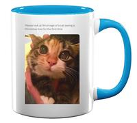 Tasse à thé ou café en céramique avec inscription « Cat sees Christmas Lights for The First Time » - Bleu clair