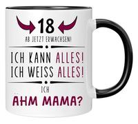 Tasse avec inscription en allemand pour 18e anniversaire, à partir de maintenant adulte, cadeau amusant, cadeau d'anniversaire | 18e anniversaire fille | tasse pour 18e anniversaire (bordeaux)