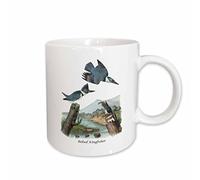 Tasse Céramique Ceinturé Par John James Audubon Minimaliste Mug Moderne Mugs Café Pour Lait Bureau Frère