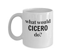 Tasse Céramique Que Ferait Cicéron, Le Philosophe Cicéron ? Idée Mug En Céramique Décoratifs Mugs Café Pour Femme Collègue Ami