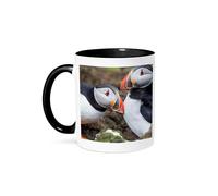 Tasse Couple De Macareux Moines (Fratercula Arctica). Écosse, Îles Shetland. 330Ml Mug Avec Poignée Durable Mugs Pour Eau Homme Femme