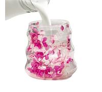 Tasses à café double en verre - Tasse à café en verre à motif de fleurs séchées | Gobelet réutilisable de 160 ml pour eau, lait, thé, latte, jus, décoration de bureau, cuisine, anniversaire de filles