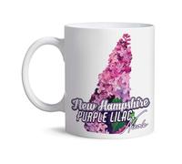 Tasses À Café New Hampshire Tasse Café Multicolore Tasse À Thé Vintage Mugs pour Travail Familiale Collègue 330Ml