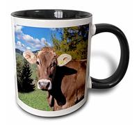 Tasses À Thé Amusants Mugs 330Ml, Italie, Alpes Dolomitiques, Vache Brune Suisse Ric Ergenbright Tasse En Céramique Café Humoristique Pour Maman Homme Collègue
