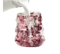 Tasses en Verre,Mugs À Café En Verre À Double Paroi Avec Fleurs Séchées | Gobelets 160ml Pour Déco Maison Cuisine Boissons Thé Lait Eau Fête De Noël