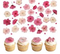 Tastetreasure Lot de 50 fleurs séchées naturelles pour décoration de gâteaux, fleurs pressées roses pour la cuisson, les boissons, les cocktails, véritable décoration florale pour les travaux manuels