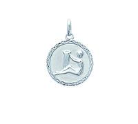Tata Gisèle Pendentif Médaille Ronde en Argent 925/000 Rhodié avec Signe du Zodiaque. Contour Tressé. - Sachet Cadeau Velours Offert (Verseau)