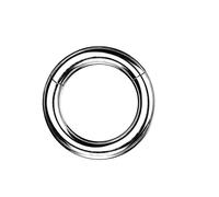 Tata Gisèle Piercing Anneau Clicker pour Cartilage Nez Septum en Acier Chirurgical 316L - Nouveau Clicker Gros Calibre Facile et Sécurisé - (Argenté, 14)