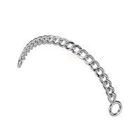 Tata Gisèle Piercing Connecteur - Chaîne en Acier Chirurgical 316 L pour Relier Deux Piercings - Trois Longueurs au Choix - (Argenté, 30)