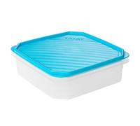 TATAY Boîte Alimentaire, Hermétique, 1.3 L Capacité, Couvercle à pression flexible, sans BPA, passe au Micro-ondes et au Lave-vaisselle, Bleue. Dimensions : 18,5 x 18,5 x 6,1 cm