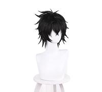 Tate no Yuusha no Nariagari Naofumi Iwatani Perruque courte synthétique noire 30 cm + bonnet de perruque