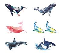Tatouage Ephemere Aquarelle Baleine Dauphin Combinaison Étanche Tatouage Temporaire Hommes Et Femmes Personnalité Mode Autocollants De Tatouage