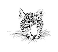 Tatouage tête de chat sauvage, animal, léopard, tigre Stickers muraux 51x63.1cm Fourni avec un kit de film de transfert Noir