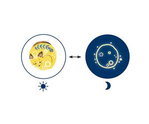 Tatouages Phospho Sweet Dreams Multicolore TU