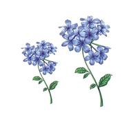 Tatouages temporaires, tatouages. Tatouages, 5 feuilles d'autocollants de tatouage temporaire d'hortensia bleu, plantes réalistes et imperméables, kit d'art corporel artificiel