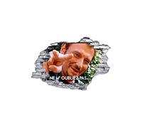 TATOUTEX Sticker Trompe l'oeil 3D Mur déchiré Johnny Hallyday ne m Oubliez Pas - Normal, L 45cm x H 30cm