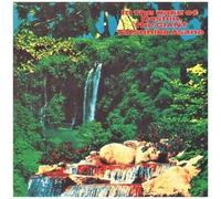 Tatsuhiko Asano – In The Wake Of Doshin, The Giant – Vinyle LP