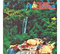 Tatsuhiko Asano – In The Wake Of Doshin, The Giant – Vinyle LP