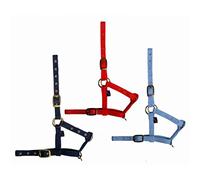Tattini Licol pour Cheval Poulain en Nylon