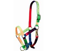 Tattini Licol pour Poulain